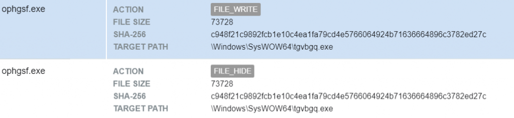 Figure 5 – Process ophgsf.exe copies itself to another location then hide it 